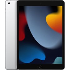 Apple iPad 9th Gen 10.2" 256GB Wi-Fi Only Silver MK2P3LL/A