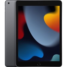 Apple iPad 9th Gen 10.2" 256GB Wi-Fi Only Space Gray MK2N3LL/A